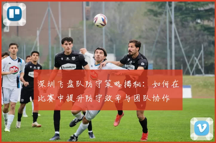 深圳飞盘队防守策略揭秘：如何在比赛中提升防守效率与团队协作