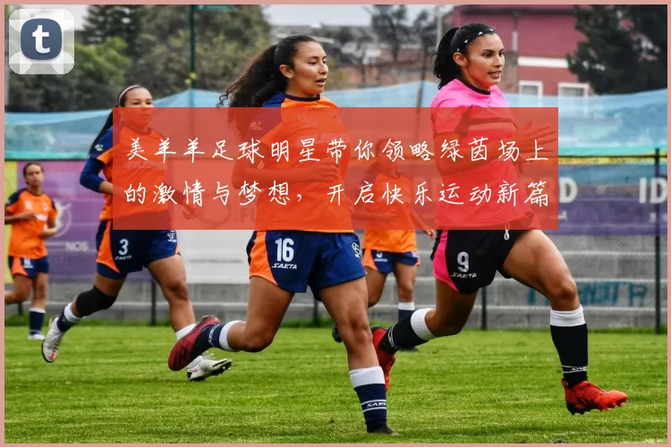 美羊羊足球明星带你领略绿茵场上的激情与梦想，开启快乐运动新篇章