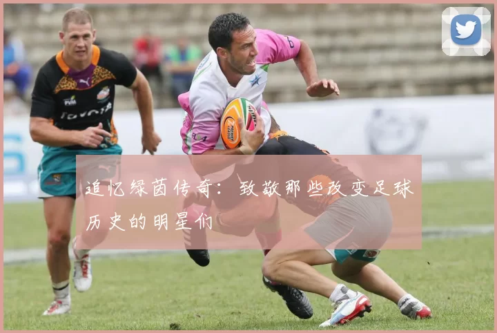 追忆绿茵传奇：致敬那些改变足球历史的明星们