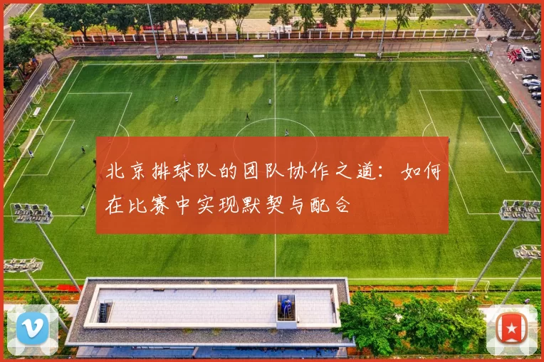北京排球队的团队协作之道：如何在比赛中实现默契与配合