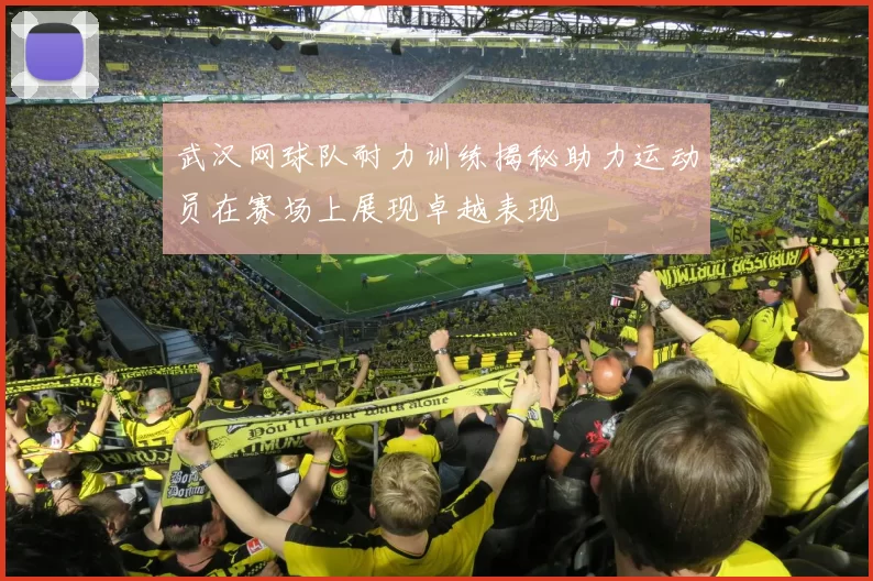 武汉网球队耐力训练揭秘助力运动员在赛场上展现卓越表现