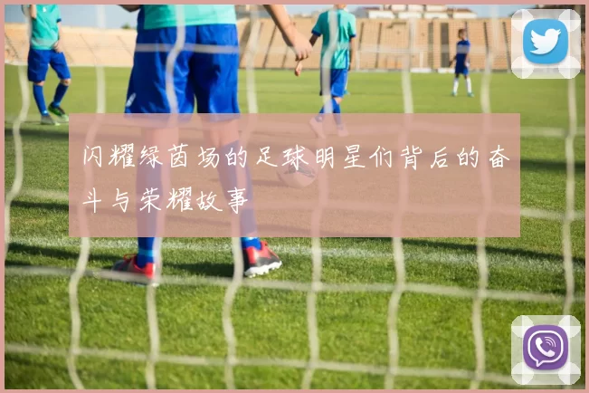 闪耀绿茵场的足球明星们背后的奋斗与荣耀故事