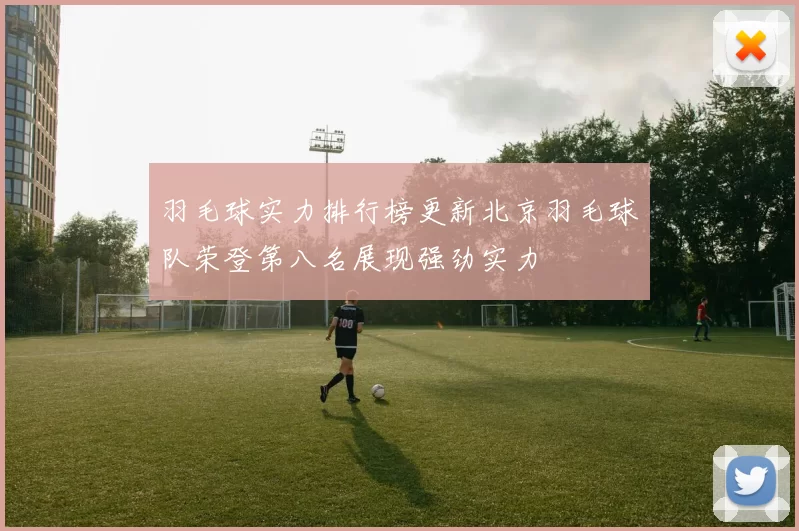 羽毛球实力排行榜更新北京羽毛球队荣登第八名展现强劲实力