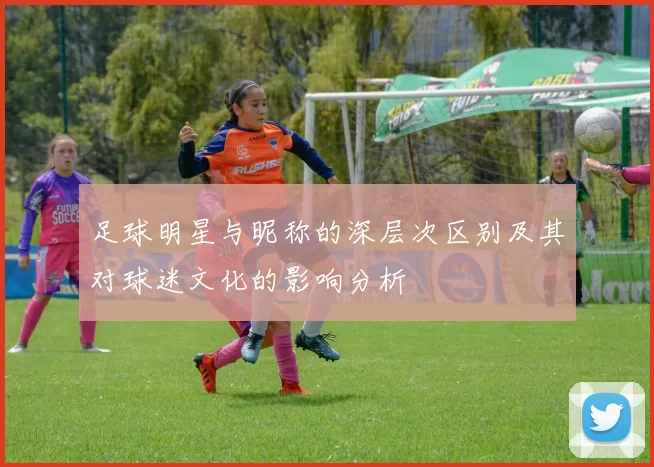 足球明星与昵称的深层次区别及其对球迷文化的影响分析