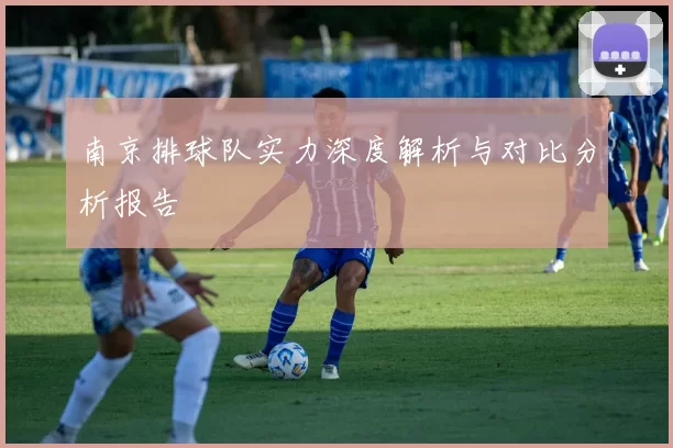 南京排球队实力深度解析与对比分析报告