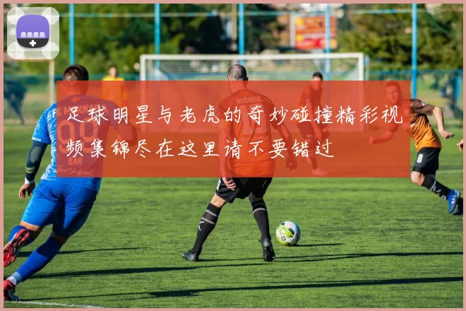足球明星与老虎的奇妙碰撞精彩视频集锦尽在这里请不要错过