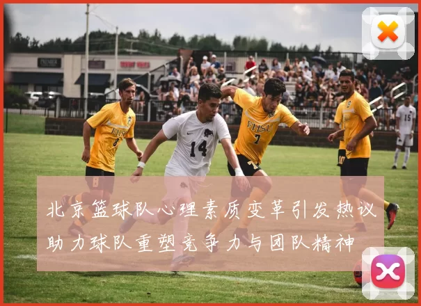 北京篮球队心理素质变革引发热议助力球队重塑竞争力与团队精神