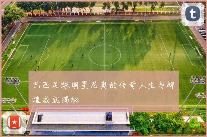 巴西足球明星尼奥的传奇人生与辉煌成就揭秘