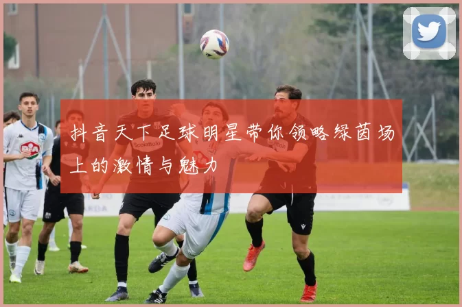 抖音天下足球明星带你领略绿茵场上的激情与魅力