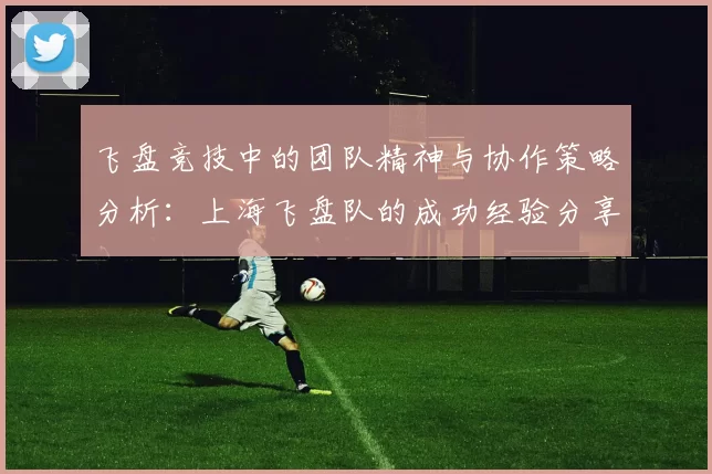 飞盘竞技中的团队精神与协作策略分析：上海飞盘队的成功经验分享