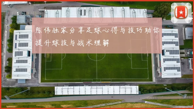 陈伟独家分享足球心得与技巧助你提升球技与战术理解