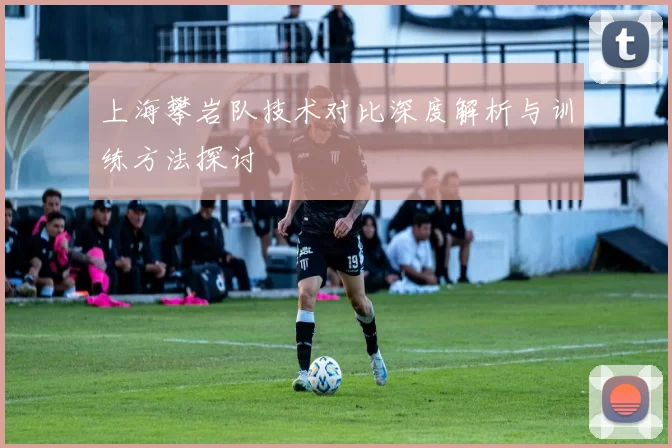上海攀岩队技术对比深度解析与训练方法探讨