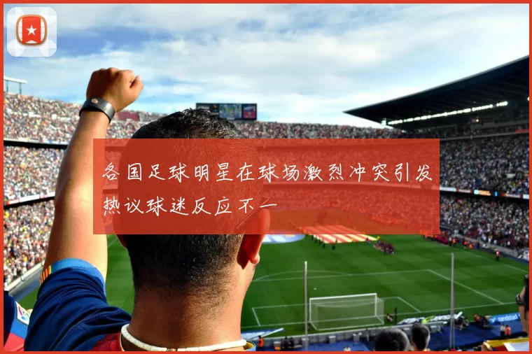 各国足球明星在球场激烈冲突引发热议球迷反应不一
