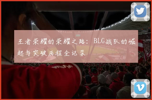 王者荣耀的荣耀之路：BLG战队的崛起与突破历程全记录