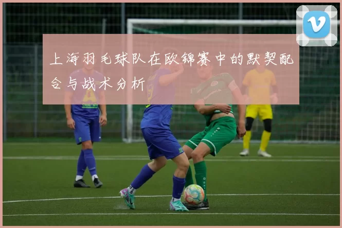 上海羽毛球队在欧锦赛中的默契配合与战术分析