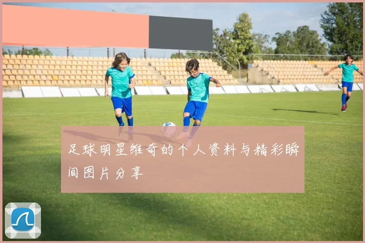 足球明星维奇的个人资料与精彩瞬间图片分享