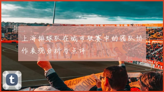 上海排球队在城市联赛中的团队协作表现分析与点评