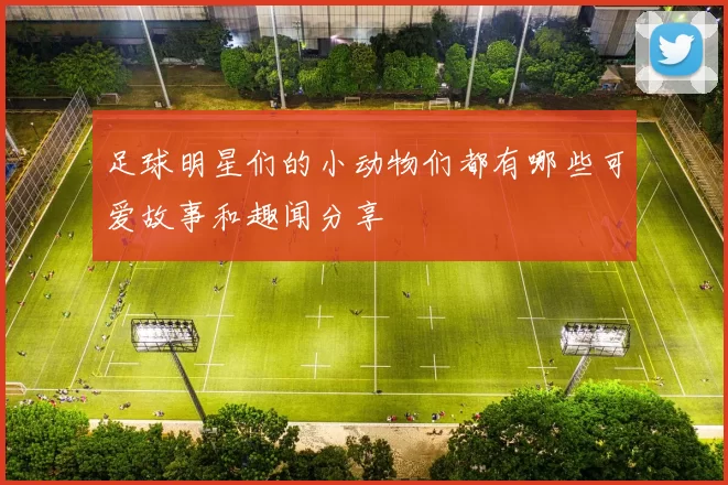 足球明星们的小动物们都有哪些可爱故事和趣闻分享